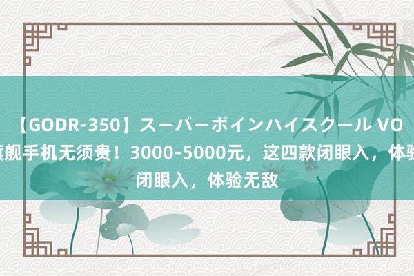 【GODR-350】スーパーボインハイスクール VOL.1 旗舰手机无须贵！3000-5000元，这四款闭眼入，体验无敌