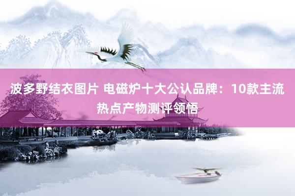 波多野结衣图片 电磁炉十大公认品牌：10款主流热点产物测评领悟