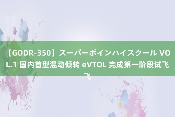 【GODR-350】スーパーボインハイスクール VOL.1 国内首型混动倾转 eVTOL 完成第一阶段试飞