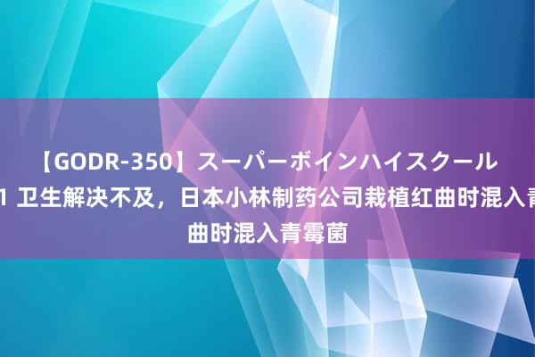 【GODR-350】スーパーボインハイスクール VOL.1 卫生解决不及，日本小林制药公司栽植红曲时混入青霉菌