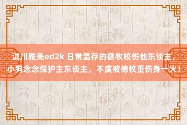 泷川雅美ed2k 日常温存的德牧咬伤他东谈主，小狗念念保护主东谈主，不虞被德牧重伤身一火！