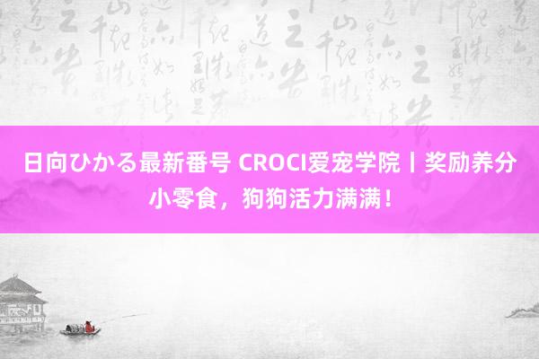 日向ひかる最新番号 CROCI爱宠学院丨奖励养分小零食，狗狗活力满满！