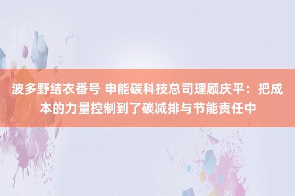 波多野结衣番号 申能碳科技总司理顾庆平：把成本的力量控制到了碳减排与节能责任中