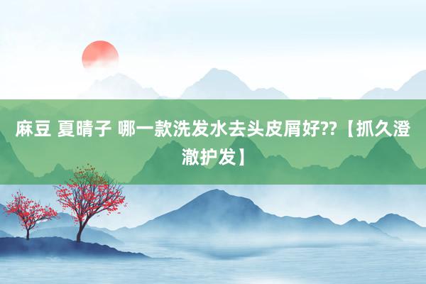 麻豆 夏晴子 哪一款洗发水去头皮屑好??【抓久澄澈护发】