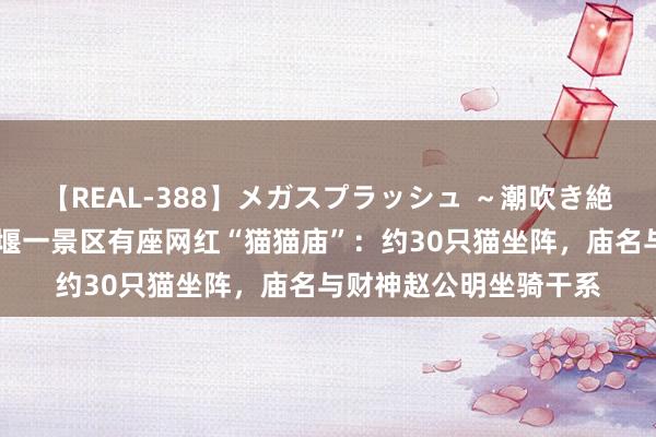 【REAL-388】メガスプラッシュ ～潮吹き絶頂スペシャル～ 皆江堰一景区有座网红“猫猫庙”：约30只猫坐阵，庙名与财神赵公明坐骑干系