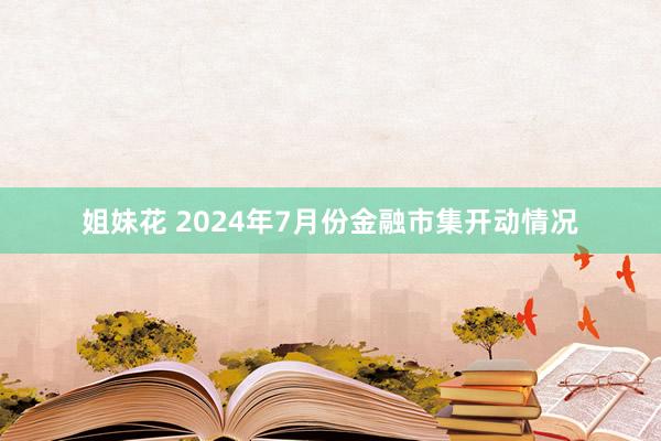 姐妹花 2024年7月份金融市集开动情况