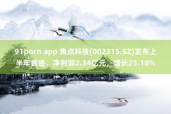 91porn app 焦点科技(002315.SZ)发布上半年齿迹，净利润2.34亿元，增长23.18%