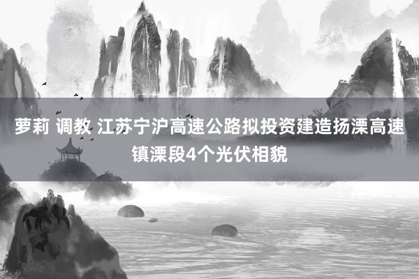 萝莉 调教 江苏宁沪高速公路拟投资建造扬溧高速镇溧段4个光伏相貌