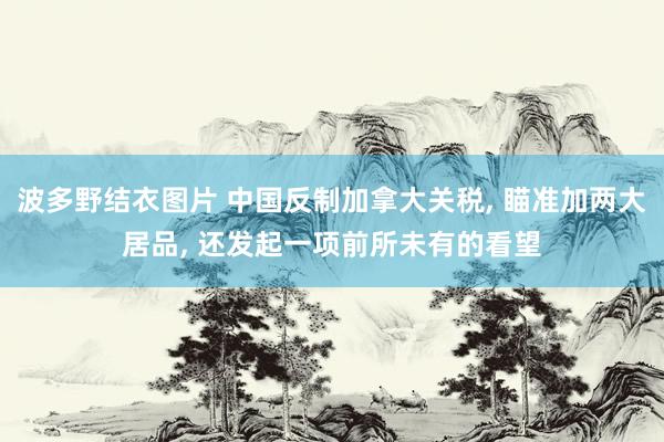 波多野结衣图片 中国反制加拿大关税， 瞄准加两大居品， 还发起一项前所未有的看望