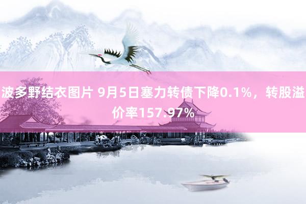 波多野结衣图片 9月5日塞力转债下降0.1%，转股溢价率157.97%