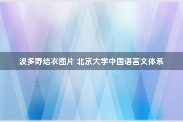 波多野结衣图片 北京大学中国语言文体系