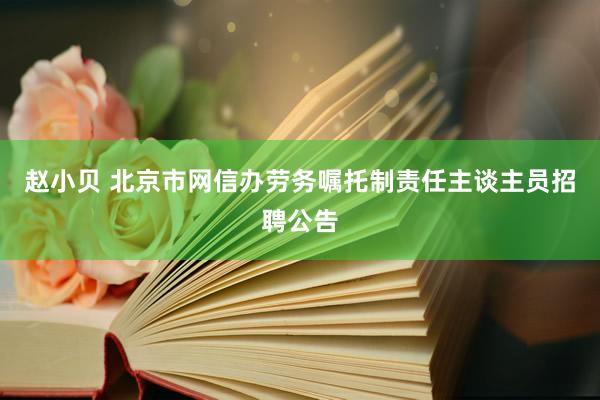 赵小贝 北京市网信办劳务嘱托制责任主谈主员招聘公告