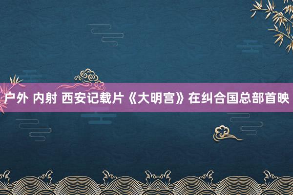 户外 内射 西安记载片《大明宫》在纠合国总部首映